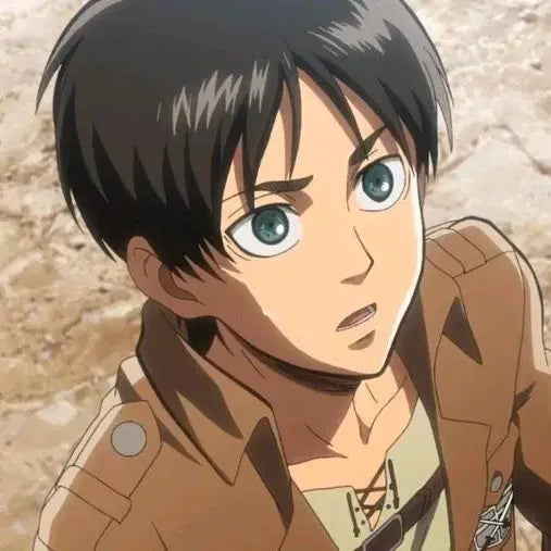 [BUNJANG] Eren Wig / 15 에렌 가발