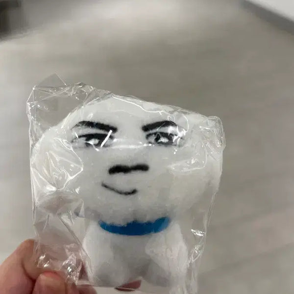 [BUNJANG] Handsome Whitey Plush Doll / 미남흰둥이