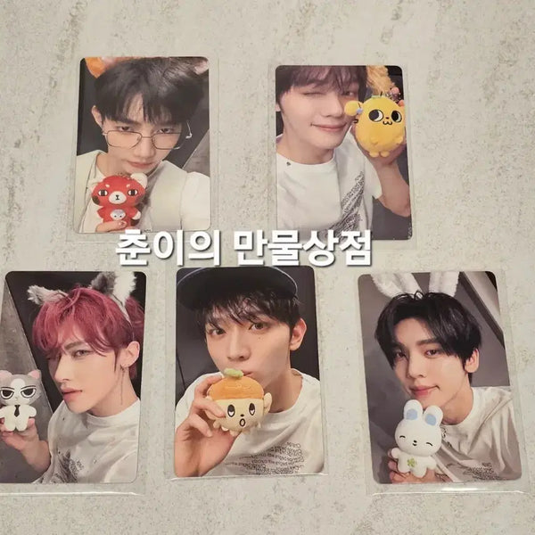 [BUNJANG] TWICE NiziU The Great Twins Photocard Bundle Set / 앤더블 앤버스 5만원 포카 양도합니다