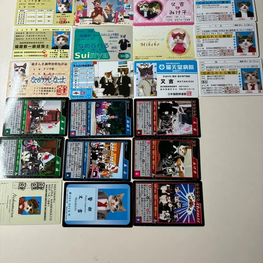 [BUNJANG] Cat Cards Bundle / 고양이 카드