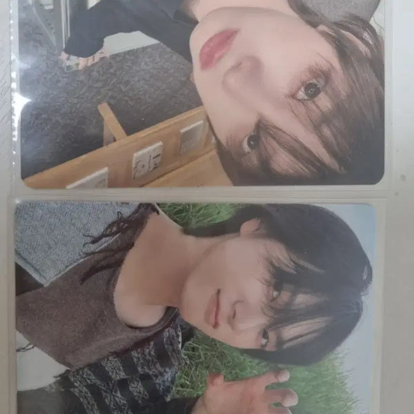 [BUNJANG] BOYNEXTDOOR Sung Ho Photocard / 보넥도 성호 포토카드