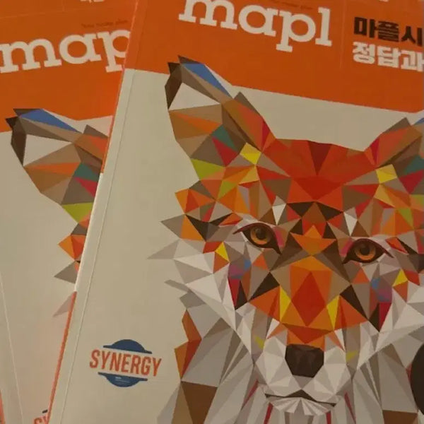 [BUNJANG] Maplesynergy Probability and Statistics Textbook and Answer Key Bundle Set / 마플시너지 확률과 통계 + 답지 일괄