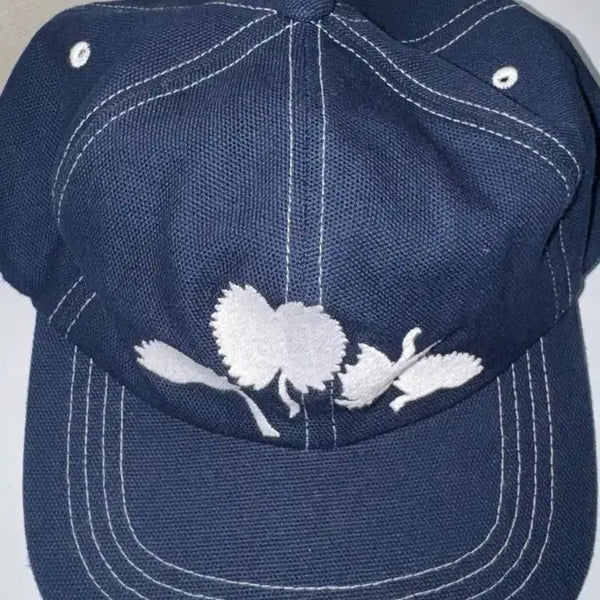[BUNJANG] Anonimo (a) Hat / anonimo(a) 모자
