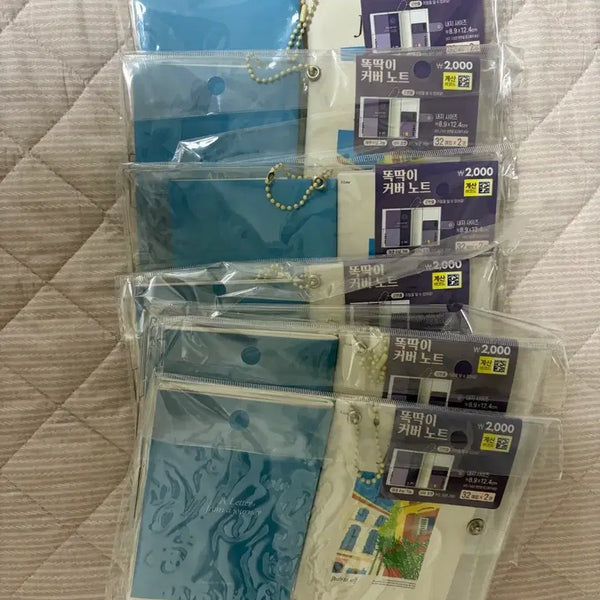 [BUNJANG] Daiso Passport Size Compatible Notebook / 다이소 트노 패스포트 사이즈 호환노트 팝니다
