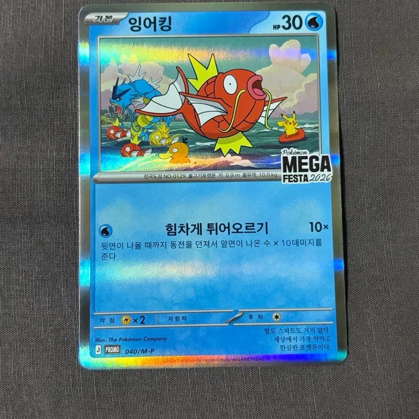 [BUNJANG] Magikarp Promo Card Unsealed / 포켓몬 카드 잉어킹 프로모 카드 개봉