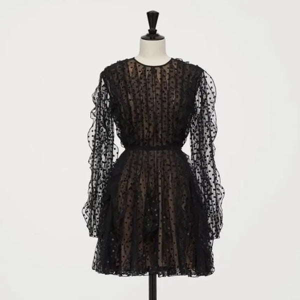 [BUNJANG] Giambattista Valli x H&M Polka Dot Mesh Mini Dress / 지암바티스타 발리 x H&M 도트 메쉬 원피스 32