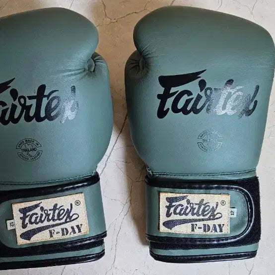 [BUNJANG] Fairtex 12oz BGV11 F-Day Microfiber Boxing Gloves / 12온스 페어텍스 BGV11 F-Day 복싱 글러브