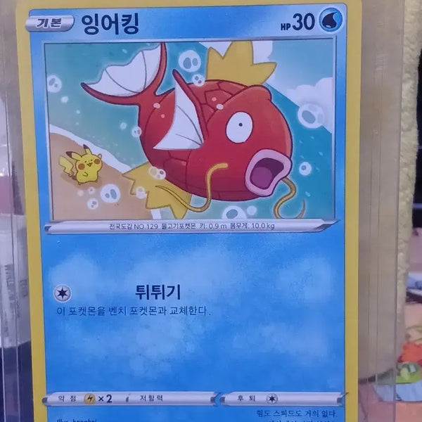 [BUNJANG] Kanahei Illustration Magikarp Pokemon Card / 포켓몬 카드 카나헤이 잉어킹 2