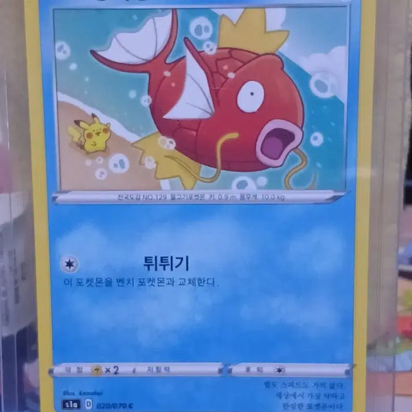 [BUNJANG] Kanahei Magikarp Pokemon Card / 포켓몬 카드 카나헤이 잉어킹 3