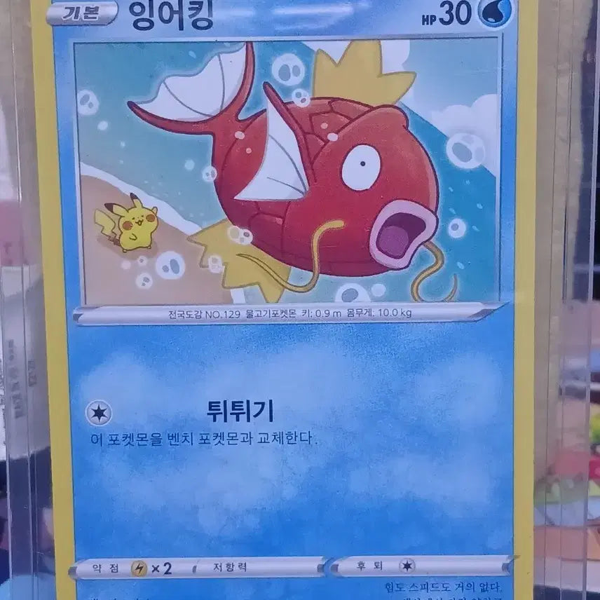 [BUNJANG] Kanahei Pikachu Magikarp Pokemon Card / 포켓몬 카드 카나헤이 잉어킹 4