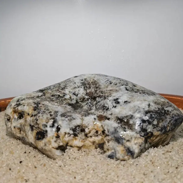 [BUNJANG] Chief Natural Stone Water-Holding Leopard Stone / 수석 자연석 물고임 호피석 크기 14센치 정도