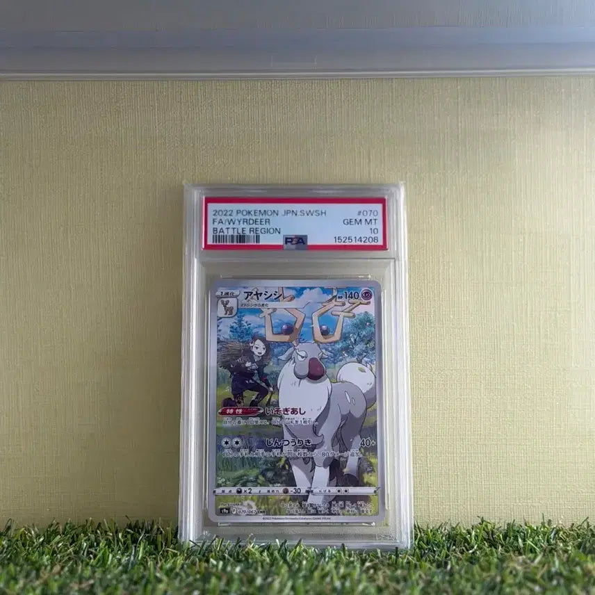 [BUNJANG] Pokemon Card PSA 10 / Psa10 포켓몬카드