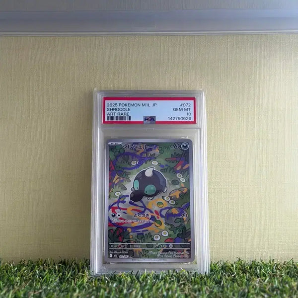 [BUNJANG] Pokémon Card (PSA 10 Graded) / Psa10 포켓몬카드