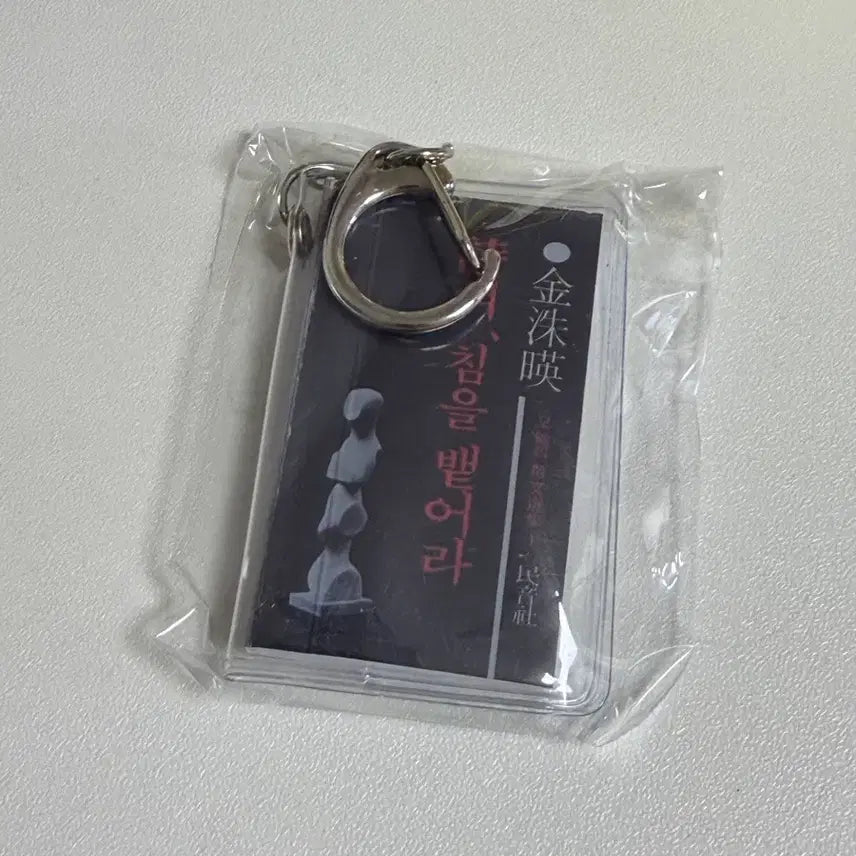 [BUNJANG] Minumsa Miniature Book Keyring / 민음사 옛 책들 미니어처 북 키링