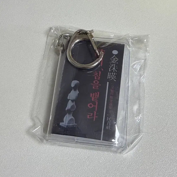 [BUNJANG] Minumsa Miniature Book Keyring / 민음사 옛 책들 미니어처 북 키링