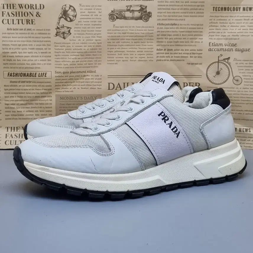 [BUNJANG] PRA Sneakers Size 255 / PRA 운동화 255