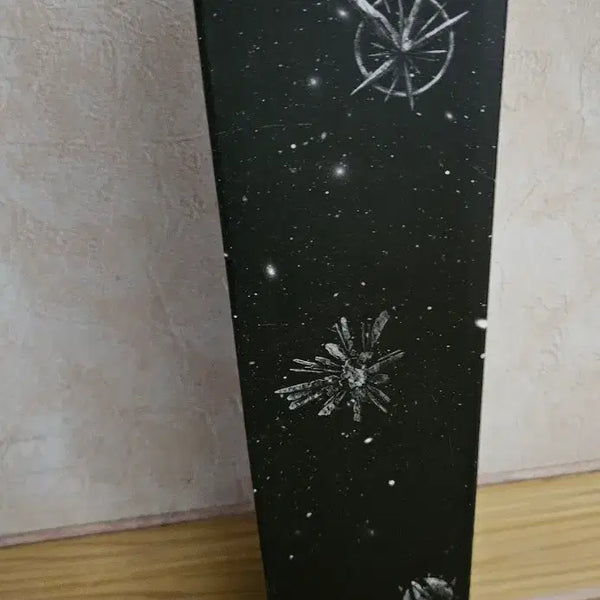 [BUNJANG] PLAVE Concert Goods Umbrella / 플레이브 우산 양도