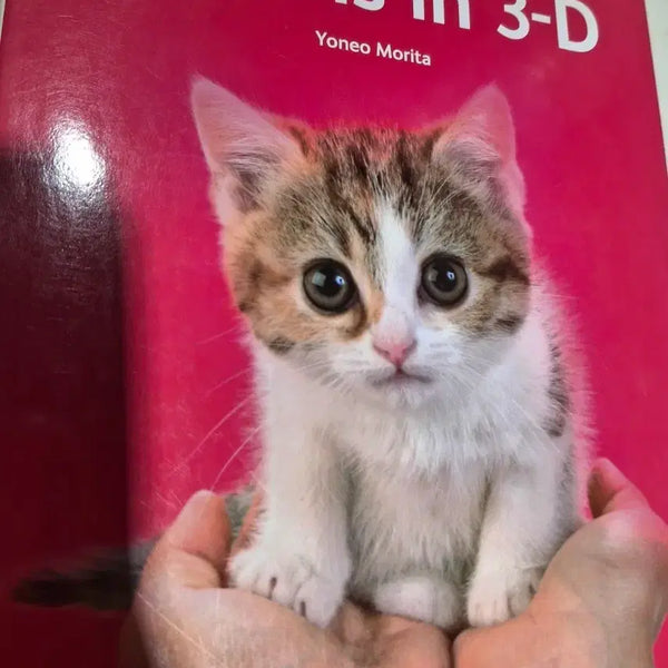 [BUNJANG] Kittens in 3-D Book / Kittens in 3-D