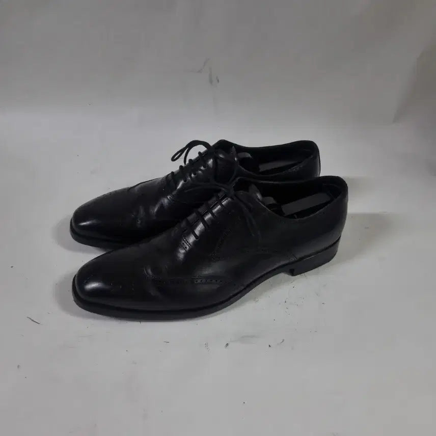 [BUNJANG] Prada Wingtip Shoes UK 7 / 프라다 윙팁 슈즈 uk7
