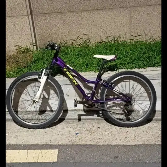 [BUNJANG] Trek 24-inch MTB Bicycle / 트렉자전거24인치