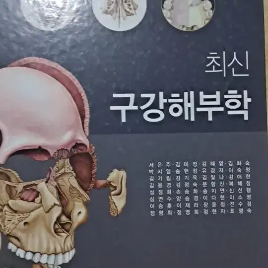[BUNJANG] Latest Oral Anatomy 3rd Edition / 최신 구강해부학 제3판