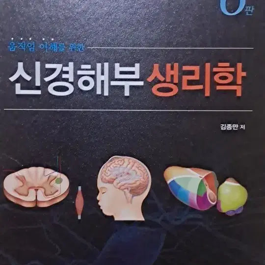 [BUNJANG] Neuroanatomy and Physiology 6th Edition / 신경해부생리학 6판