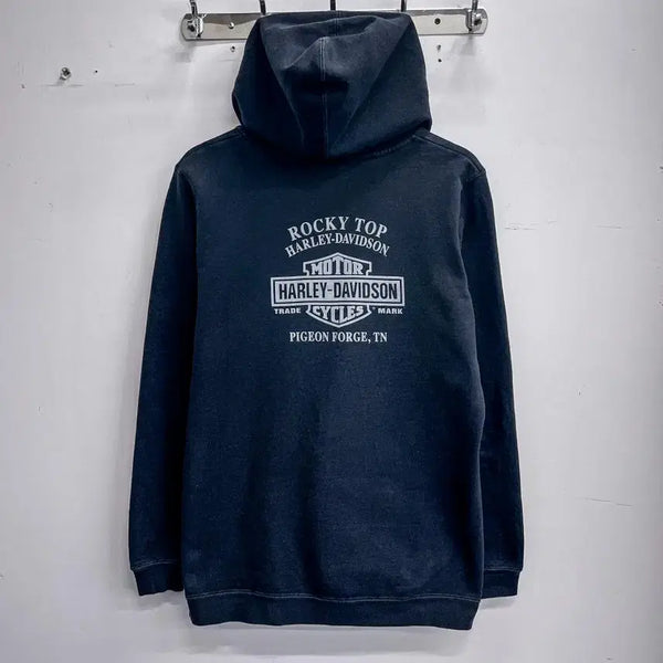 [BUNJANG] Harley-Davidson Printing Hoodie (Large) / 할리데이비슨 프린팅 후드티 (국내 L) AG105