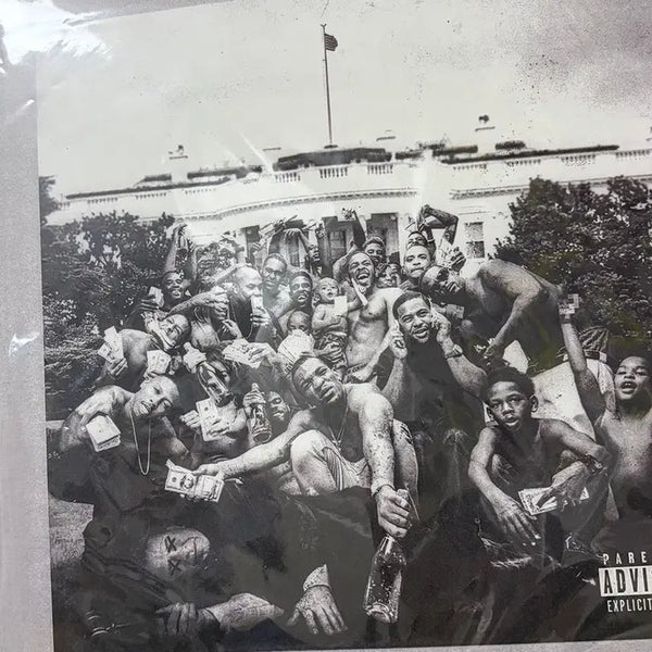 [BUNJANG] Kendrick Lamar To Pimp a Butterfly LP / kendrick lamar 켄드릭라마 lp to pimp a butterfly tpab