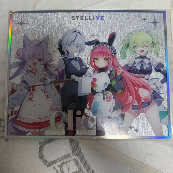 [BUNJANG] Stellive Cliché Acrylic Frame / 스텔라이브 클리셰 아크릴 액자