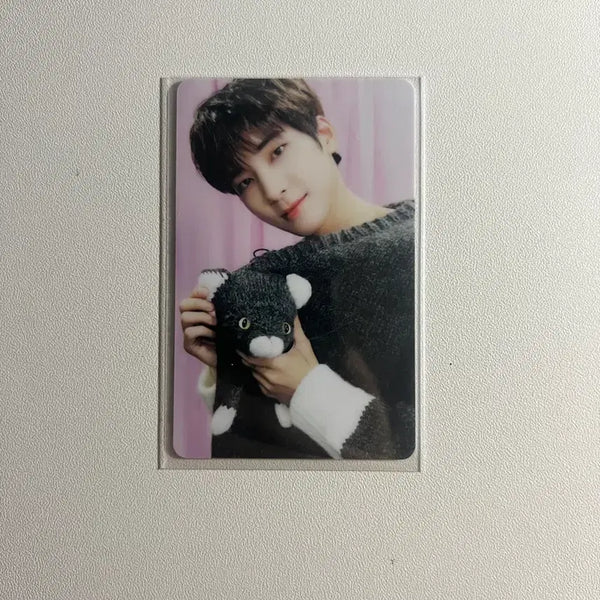 [BUNJANG] SEVENTEEN Wonwoo Dicon Photocard / 세븐틴  원우 디아이콘 포카