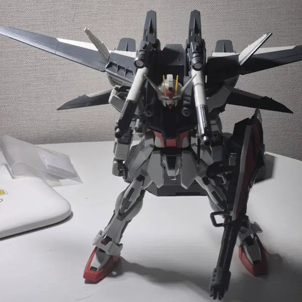 [BUNJANG] MG Strike Gundam IWSP / mg 스트라이크 iwsp