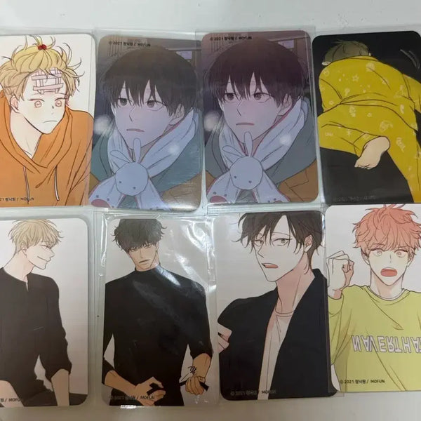 [BUNJANG] Cheong Sagwa Nakwon Moho Cafe Photocard Bundle Set / 청사과낙원 청낙원 모펀 카페 포카 일괄