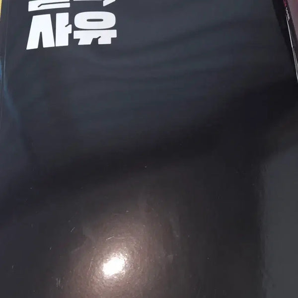 [BUNJANG] Kim Seungri Disqualification Reason Vol. 1 / 김승리 결격사유