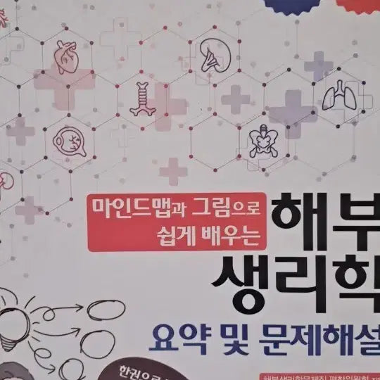 [BUNJANG] Anatomy and Physiology Mind Map Summary and Problem Solving Guide / 해부생리학 마인드맵 그림 쉽게 배우는 요약 문제해설