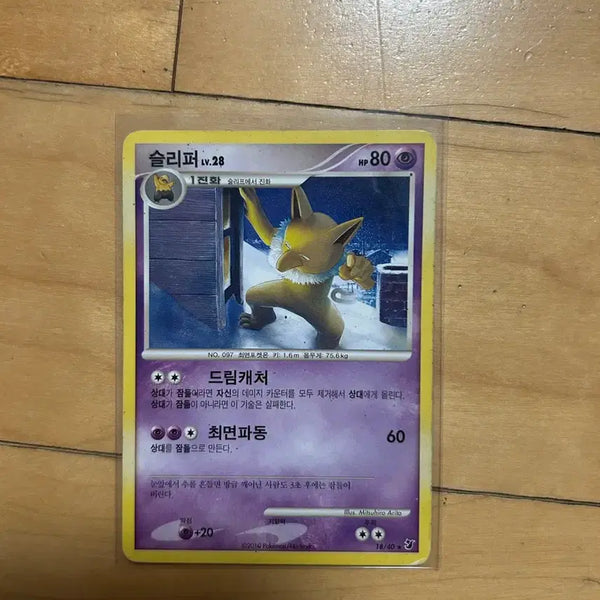 [BUNJANG] Pokemon DP Classic Card Sleeper 2010 / DP 포켓몬 고전카드 슬리퍼 2010
