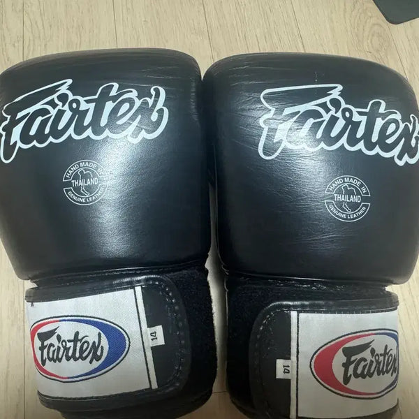 [BUNJANG] Fairtex 14oz Boxing Gloves / 페어택스 14온스 글러브