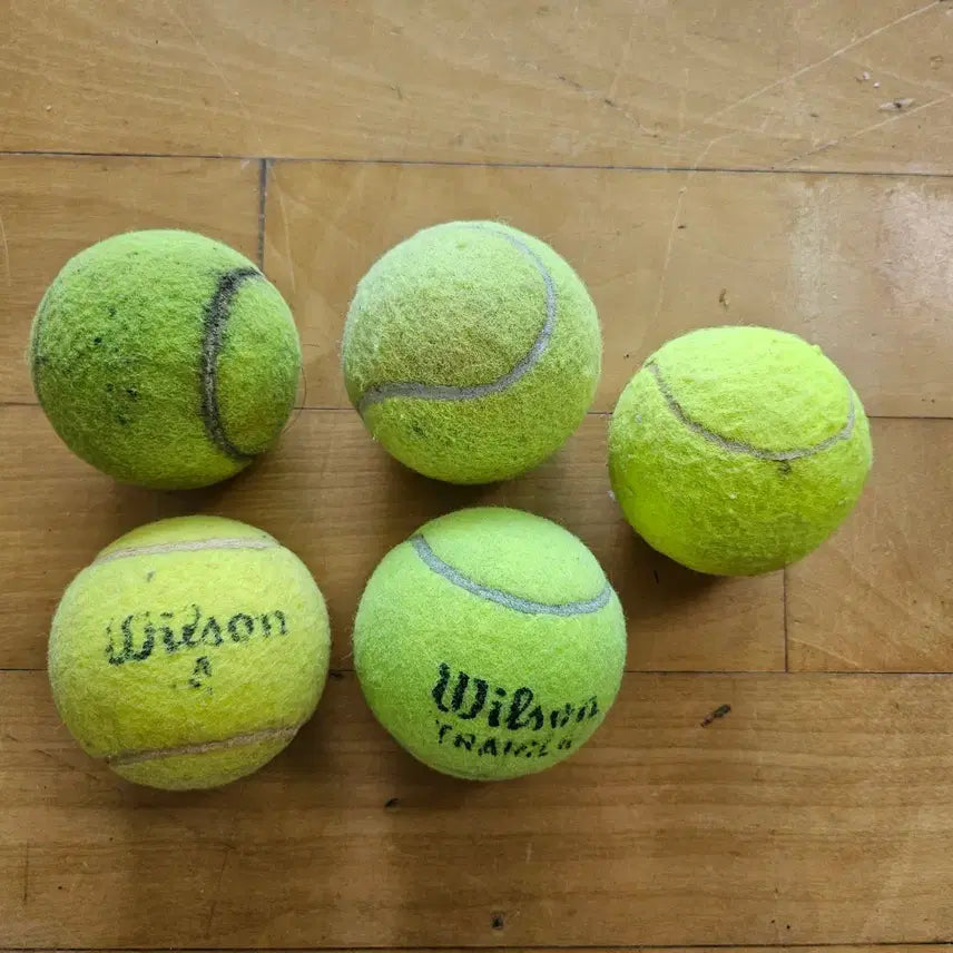 [BUNJANG] Tennis Balls (5-Pack) Bundle / 테니스 공 5개 일괄 판매합니다