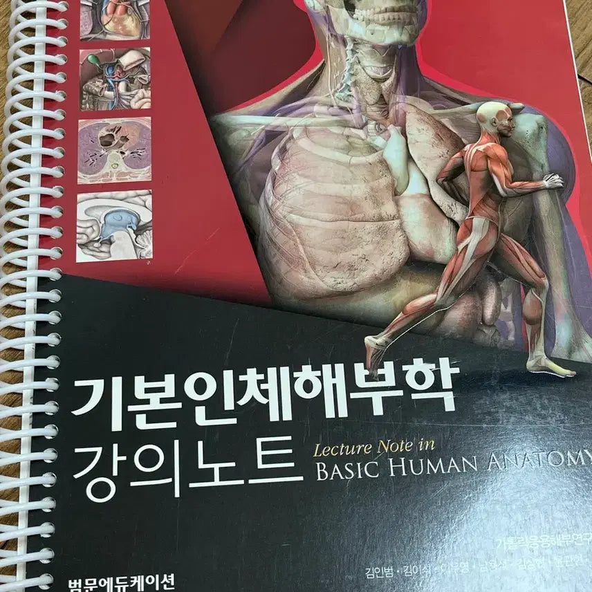 [BUNJANG] Basic Human Anatomy Lecture Notes / 기본인체해부학 강의노트