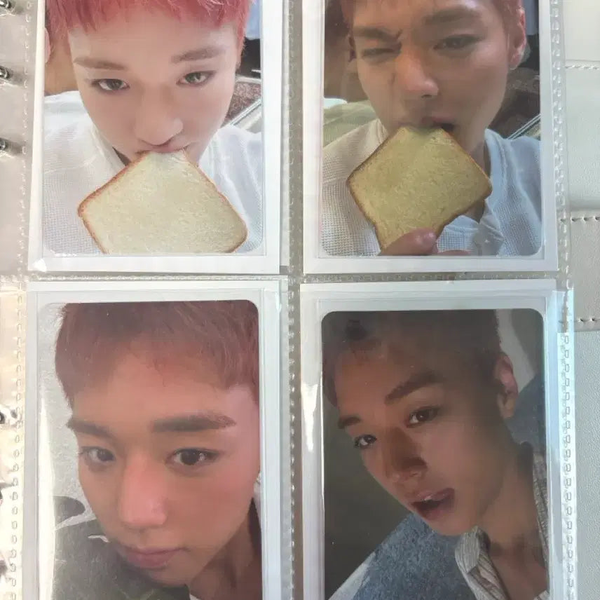[BUNJANG] Park Jihoon Photocard Bundle Set + So-sim-i (Unsealed) / 박지훈 포카 일괄 + 소심이(개봉) 판매 급처