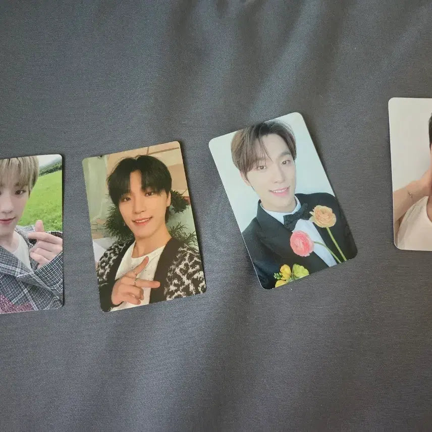 [BUNJANG] SEVENTEEN Dino Bundle Set Photocards / 디노 포카 4개 일괄