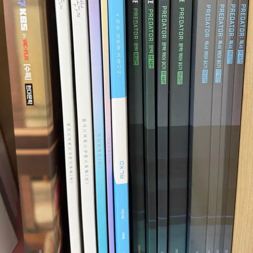 [BUNJANG] Kim Seung-ri Image Lee Young-soo 2027 Suneung Study Materials / 2027 수능교재 김승리 이미지 이영수