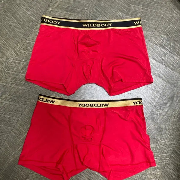 [BUNJANG] Men's Bamboo Briefs 2-Pack / 남성팬티 뱀부94.5% 95~100 m  2장일괄