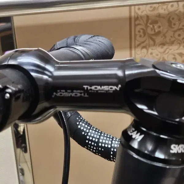 [BUNJANG] Thomson 2Bolt 110mm Stem 17 Degree / 탐슨 투볼트 110/17