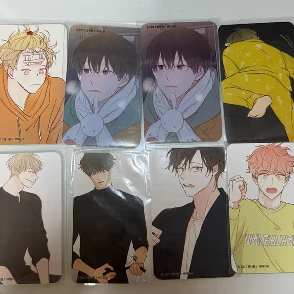 [BUNJANG] Cheongnakwon Cafe Photocard Bundle Set / 청사과낙원 청낙원 모펀 카페 포카 일괄 양도