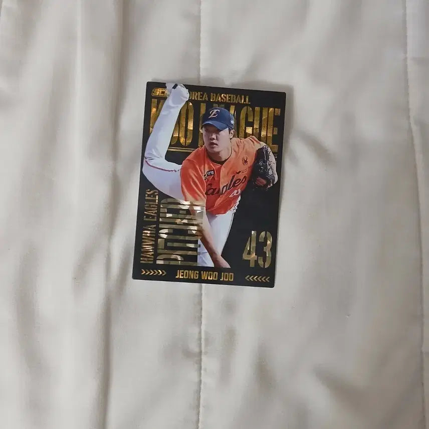 [BUNJANG] Hanwha Eagles Jung Woo-joo Player Card / 한화 이글스 정우주 선수 카드