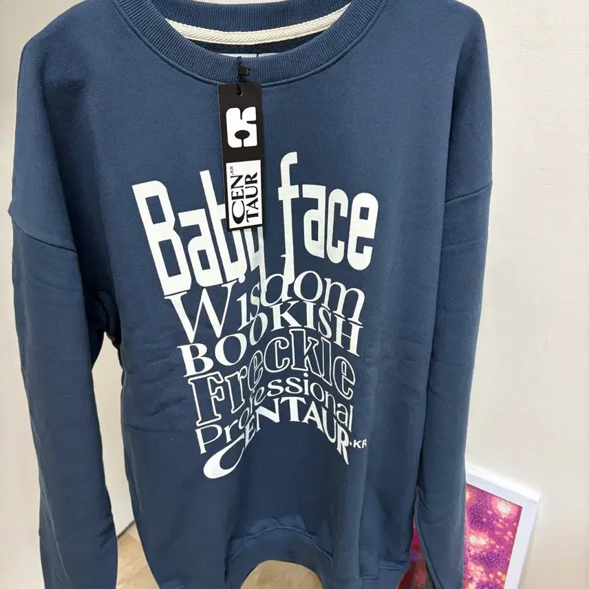 [BUNJANG] Centaur Navy Sweatshirt Large / 센토르 네이비 맨투맨 라지