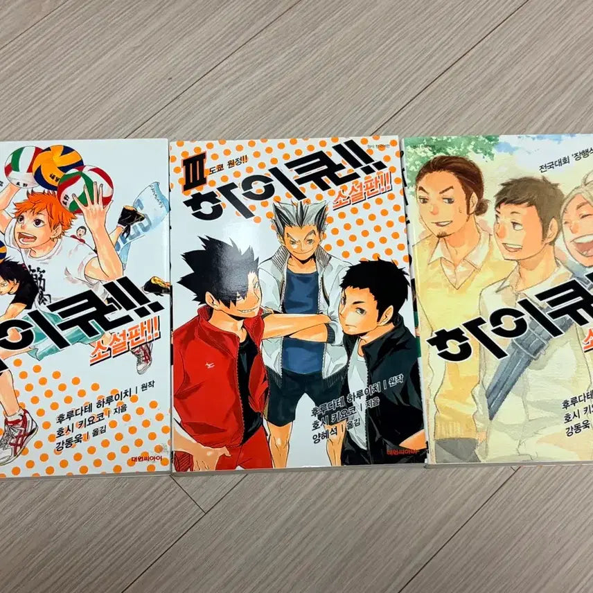 [BUNJANG] Haikyuu!! Novel / 하이큐 소설