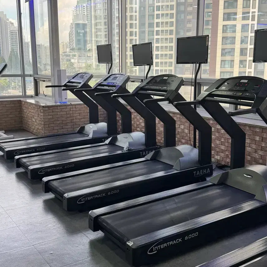 [BUNJANG] Intertrack 6000 Treadmill / 태하 인터트랙 6000 런닝머신 2대