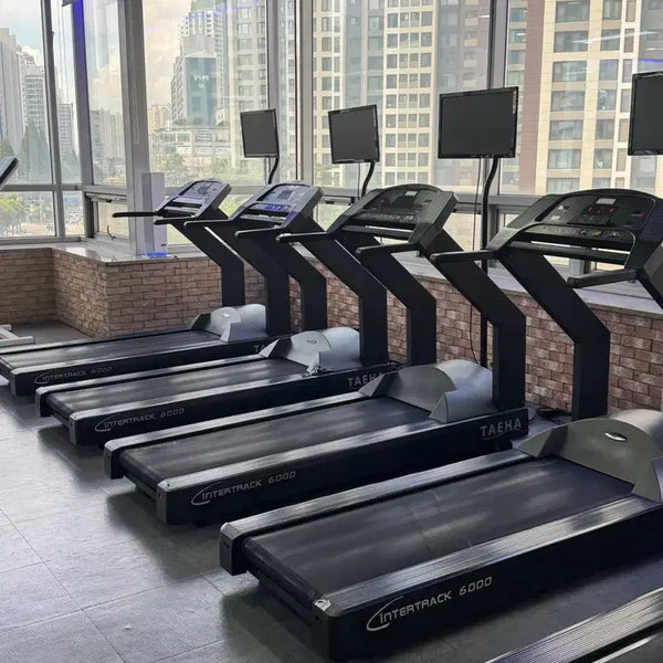 [BUNJANG] Intertrack 6000 Treadmill / 태하 인터트랙 6000 런닝머신 2대