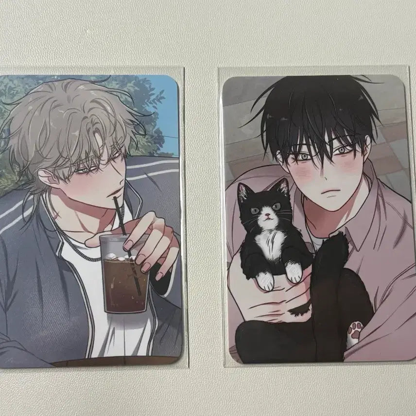 [BUNJANG] Water's Night Collection Special Photocard Bundle Set / 물가의 밤 컬렉션 스페셜 포카 일괄 양도